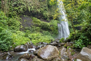 Lombok: Senaru Village, Sendang Gile & Tiu Kelep Waterfalls