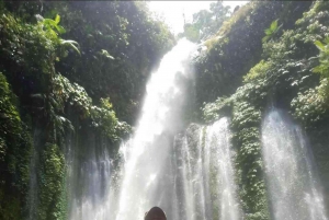 Lombok : Sendang Gila and Tiu Kelep Water Fall Tour