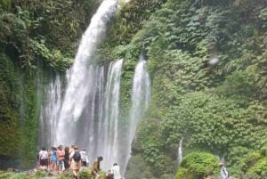 Lombok : Sendang Gila and Tiu Kelep Water Fall Tour