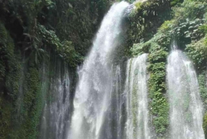 Lombok : Sendang Gila and Tiu Kelep Water Fall Tour