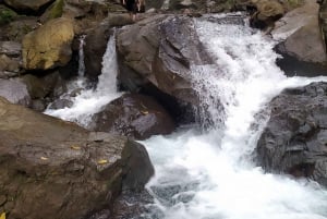 Lombok: Sendang Gila and Tiu Kelep Waterfalls Tour