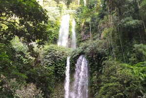 Lombok: Sendang Gila and Tiu Kelep Waterfalls Tour