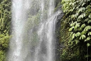 Lombok: Excursão às cascatas Sendang Gile e Tiu Kelep