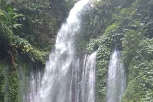 Lombok: Excursão às cascatas Sendang Gile e Tiu Kelep