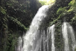 Lombok: Excursão às cascatas Sendang Gile e Tiu Kelep