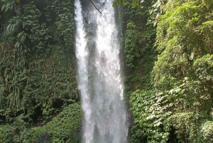 Lombok: Excursión de un día a las Cascadas de Sendang Gile y Tiu Kelep