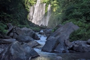 Lombok: Sendang Gile and Tiu Kelep Waterfalls Tour