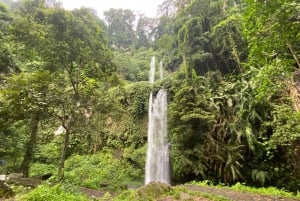 Lombok : Circuit des chutes d'eau de Sendang Gile et Tiu Kelep