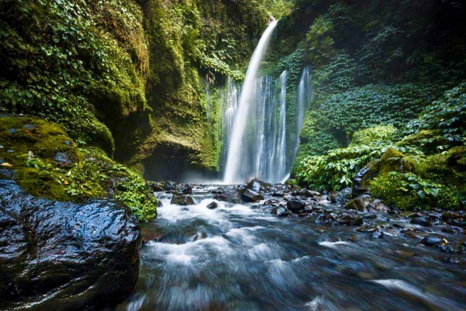 Lombok: Sendang Gile - Tiu Kelep & Selong Hills Sembalun