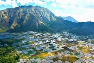 Lombok: Sendang Gile - Tiu Kelep & Selong Hills Sembalun