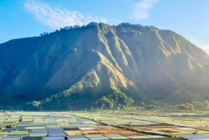 Lombok: Sendang Gile - Tiu Kelep & Selong Hills Sembalun