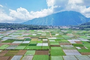 Lombok: Sendang Gile - Tiu Kelep & Selong Hills Sembalun