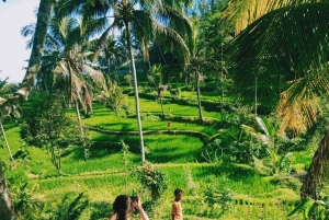 Lombok:Sendang Gile,Tiu Kelep Waterfall & Selong Hill Tour