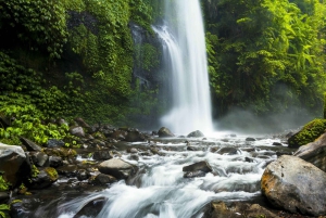 Lombok: Sendang Gile Waterfall & Pusuk Pass Day Trip