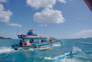 Lombok : Plongée en apnée et circuit dans les îles sur les Gilis secrètes