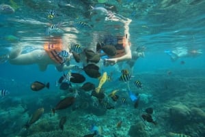 Lombok: Schnorcheln zu Gili Nanggu, Sudak & Kedis (Privat)