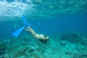 Lombok: Schnorcheln zu Gili Nanggu, Sudak & Kedis (Privat)