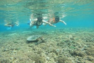 Lombok: Schnorcheln zu Gili Nanggu, Sudak & Kedis (Privat)