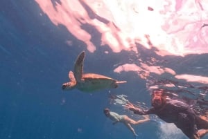 Сноркелинг на Ломбоке в Гили Нанггу, Танконг, Судак и Кедис