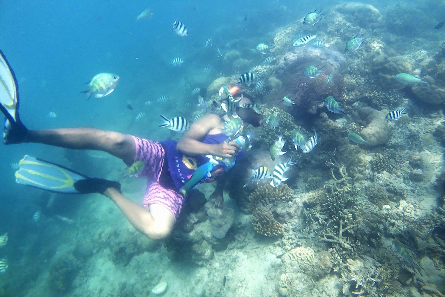 Lombok : Excursion de plongée en apnée à Gili Nanggu, Sudak & Kedis inc.déjeuner