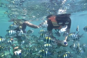 Lombok: Excursión de snorkel Gili Nanggu, Sudak y Kedis con almuerzo incluido