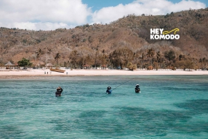 Lombok: Wycieczka snorkelingowa Gili Nanggu, Sudak i Kedis z lunchem