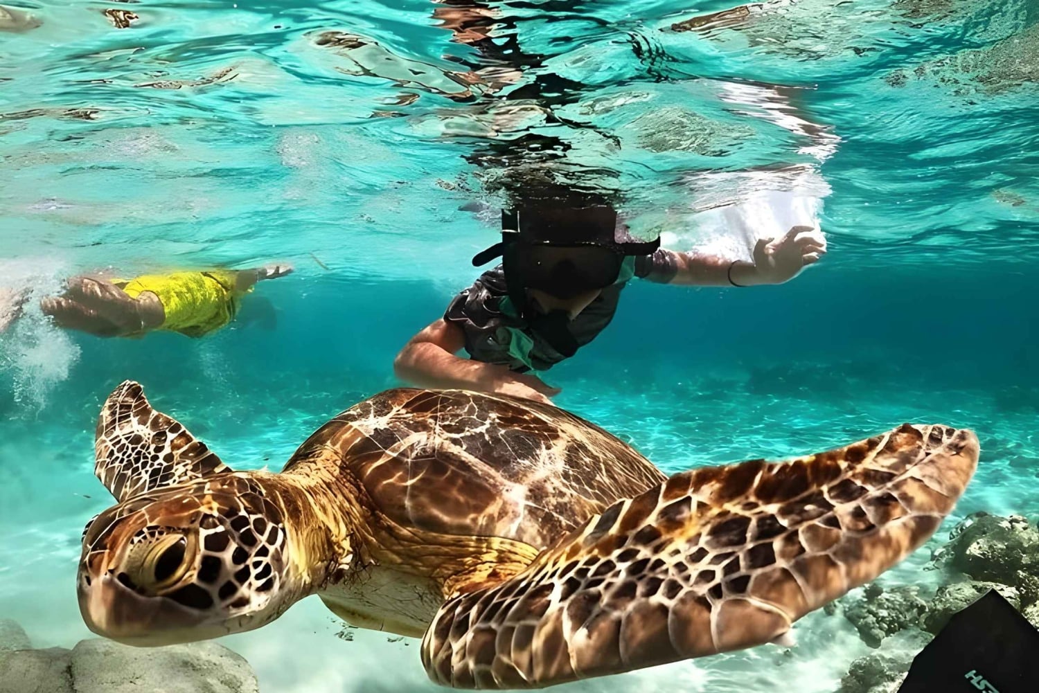 ロンボク島：シュノーケリングトリップ（ギリ・トラワンガン、メノ、ギリ・エア）