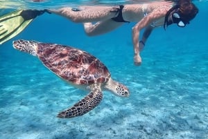 ロンボク島：シュノーケリングトリップ（ギリ・トラワンガン、メノ、ギリ・エア）