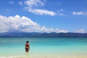 ロンボク島：シュノーケリングトリップ（ギリ・トラワンガン、メノ、ギリ・エア）