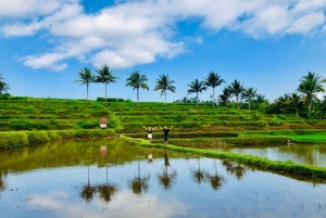 Avventura di gruppo a Lombok: trekking nella giungla e cascate