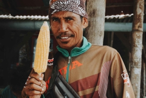 Avventura di gruppo a Lombok: trekking nella giungla e cascate