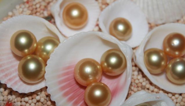 Lombok South Sea Pearls