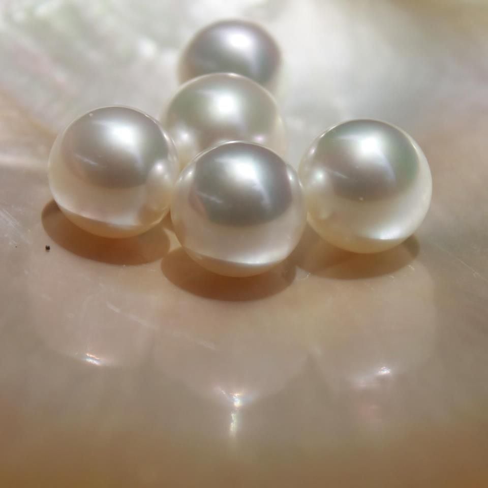 Lombok South Sea Pearls