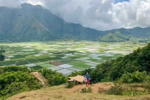 Lombok Spectacular: Waterfalls, Selong Hill & Pusuk Sembalun