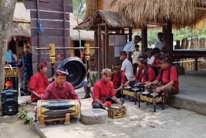 Baile y Tour de Lucha de Palos de Lombok