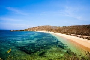 Lombok: Udflugt til tempel, Malimbu Hill og Ubud Abeskov