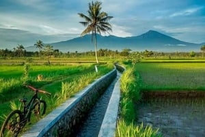 Lombok: Tetebatu Soft Trekking Tour (z lunchem)