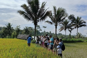 Lombok: Tetebatu Village and Rice Fields Guided Tour