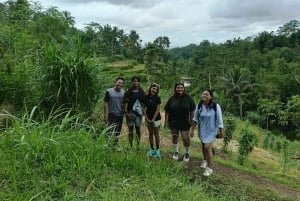 Lombok: Tetebatu Village and Rice Fields Guided Tour