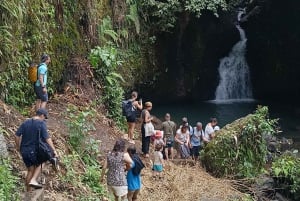 Lombok: Tetebatu Walking Tour with Monkey Forest & Waterfall