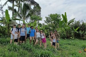 Lombok: Tetebatu Walking Tour with Monkey Forest & Waterfall