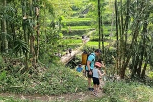 Lombok: Tetebatu Walking Tour with Monkey Forest & Waterfall