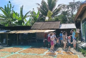 Lombok: Tetebatu Walking Tour with Monkey Forest & Waterfall