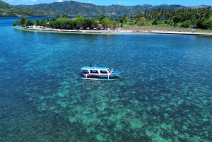 Lombok: Die besten Schnorchelmöglichkeiten in Gili nanggu, kedis & sudak