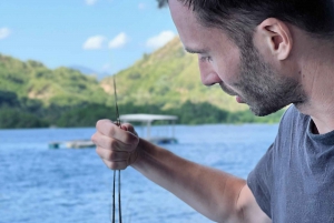 Lombok: den beste snorklingen i Gili nanggu, kedis og sudak