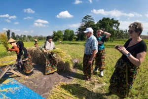 Lombok: The land and the Sasak people of Lombok | Waterfall, water castle