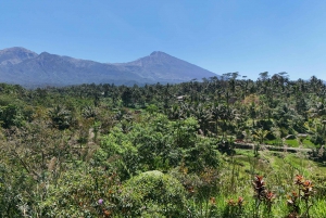 Lombok: The land and the Sasak people of Lombok | Waterfall, water castle