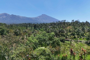 Lombok: Landet og Sasak-folket på Lombok | Foss, vannslott