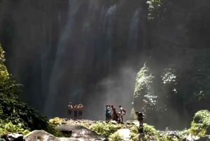 Lombok: Tiu Kelep Waterfall Tour and Sembalun Agro Tourism