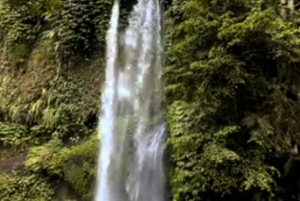 Lombok: Tiu Kelep Waterfall Tour and Sembalun Agro Tourism